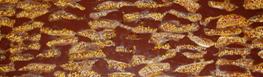 rocher noir