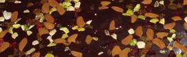sucettes smarties - Copie.JPG