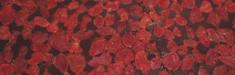 plaq_det_fraise